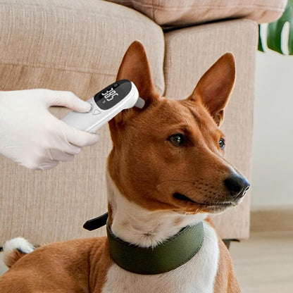 Digital Animal Thermometer - Fast Thermometer Animal | Dog Temperature Monitor, Vet Tech Thermometers - Puppy Thermometers, Tempratue Detection Device, Pet Thermommeters for Tempratue Detection